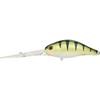 #U015 Shiny Perch