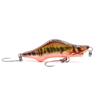 Red Minnow