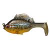 Pumpkinseed