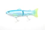Blue Shad