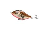 Spawning Minnow