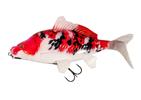 Koi Carp