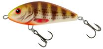 Spotted Brown Perch