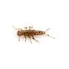 Stonefly 0.75" Green Pumpkin Red Black