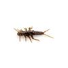 Stonefly 0.75" Green Pumkpin Brown Red Purple