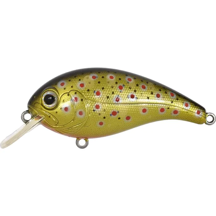 Gold Fario