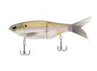 Threadfin