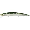 AHA0109 Mackerel