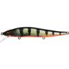 GP Redfin Perch