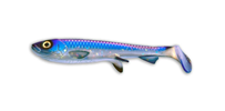 #WC084 Sparkling Whitefish