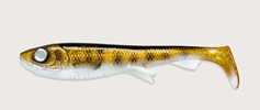 The Walleye