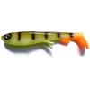 #WC029 Pickleback Perch