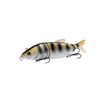 Zander