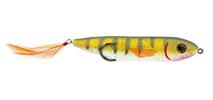 Yellow Perch