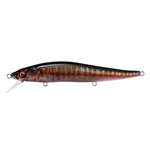 x layer super megabass - leurres/souples - Les Semailles
