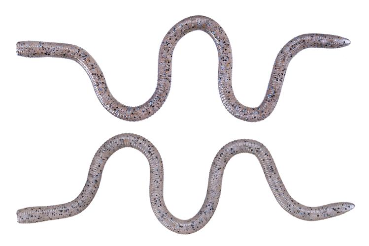 Leurre Souple OSP MIMIZU Medium (#TW117 Ghost Shrimp)