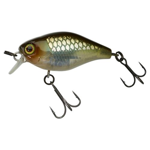 Leurre Poisson nageur Illex Diving Chubby 38 - Pêche truite - Leurre de