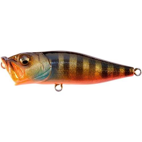⭐新品⭐Megabass POP-X Gill series 5set MEGABASSPOP-XGGBASS_1024x1024.