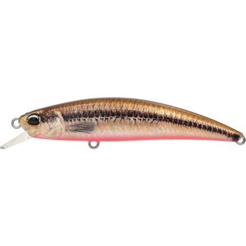 Leurre Duo Ryuki 70F Spearhead 7cm ACC4824 Vairon/Red Belly - Leurres