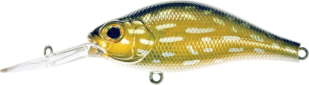 Poisson Nageur Galapagos Grace 24cm - Leurre de la pêche Poisson Nageur Galapagos Grace 24cm - Leurre de la pêche