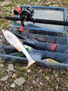 Boite LMAB Tackle Box - Photo 3