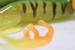 Leurre Souple Fishmagnet Mama Frog - Photo 8