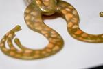 Leurre Souple Fishmagnet Mama Frog - Photo 7
