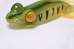 Leurre Souple Fishmagnet Mama Frog - Photo 9