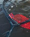 Epuisette Fox Rage Short Mag Nets - Photo 5