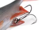 Leurre Souple Fox Rage Ultra Realistic Roach - Photo 3