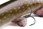 Leurre Souple Fox Rage Ultra Realistic Pike 25cm - Photo 3