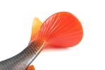 Leurre Souple Fox Rage Ultra Realistic Replicant Roach - Photo 5