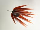Leurre Souple HideUp Coike Fish M Elastomer - Photo 2