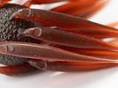Leurre Souple HideUp Coike Fish M Elastomer - Photo 3
