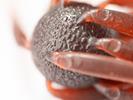 Leurre Souple HideUp Coike Fish M Elastomer - Photo 4