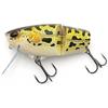 Poisson Nageur Drt Tiny Joker Popping - Photo 1
