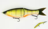 Poisson-nageur Grassroots Grand Edge 190SF - Photo 1