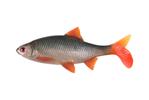 Leurre Souple Fox Rage Ultra Realistic Replicant Roach - Photo 1