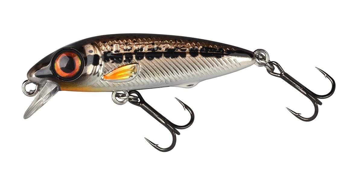 Poisson-nageur Spro Iris The Kid 5.8cm 8g - Photo 1