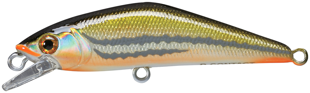 Poisson-nageur Smith D-Contact 5cm Suspending