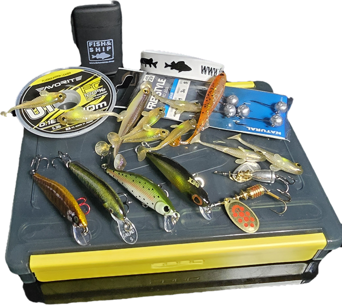 Box Truite Fish &amp; Ship