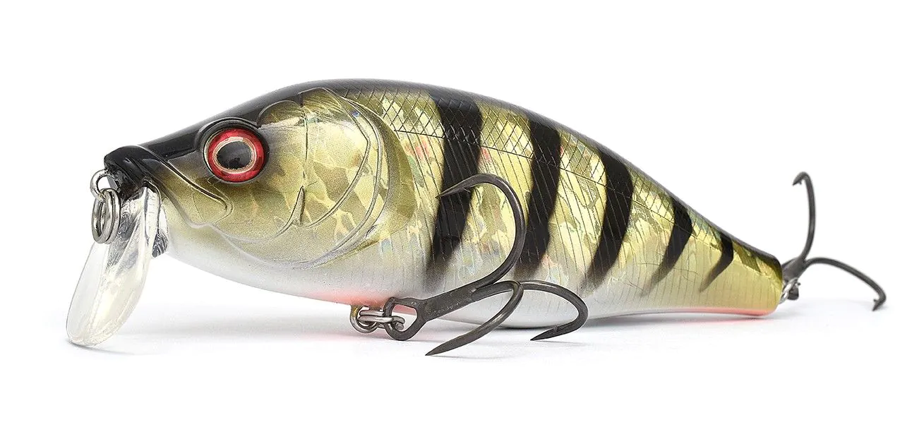 Poisson Nageur Xorus Dango 120 SR - Photo 1