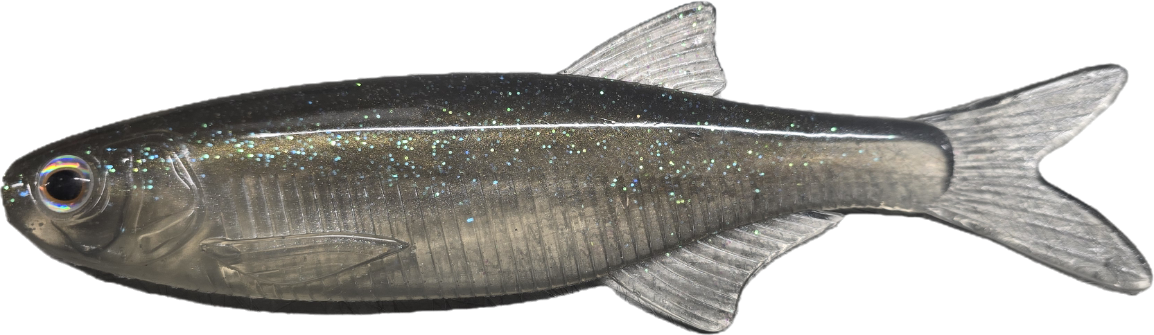 Leurre Souple Evercast Everbleak 20cm