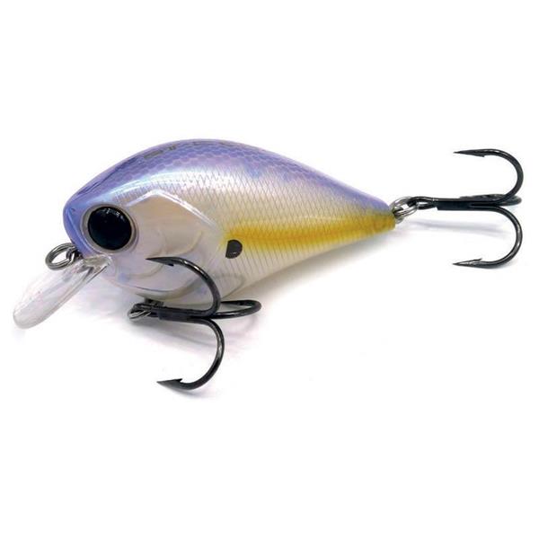 Poisson Nageur Damiki BTC60