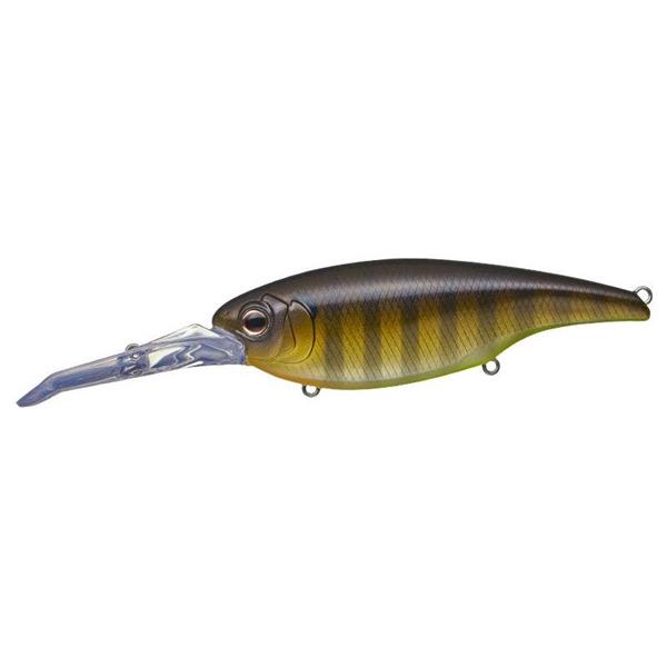 Poisson-nageur Evergreen DD X-Over