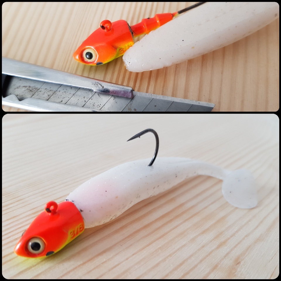 Le Dolive Shad à la loupe - Fish & Ship